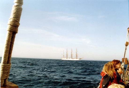 02_Backbord